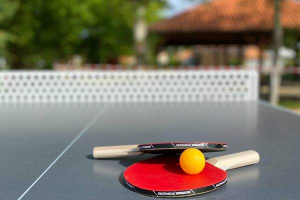 Table-de-ping-pong-Camping-Lac-de-Saint-Cyr-86130-Beaumont-Saint-Cyr