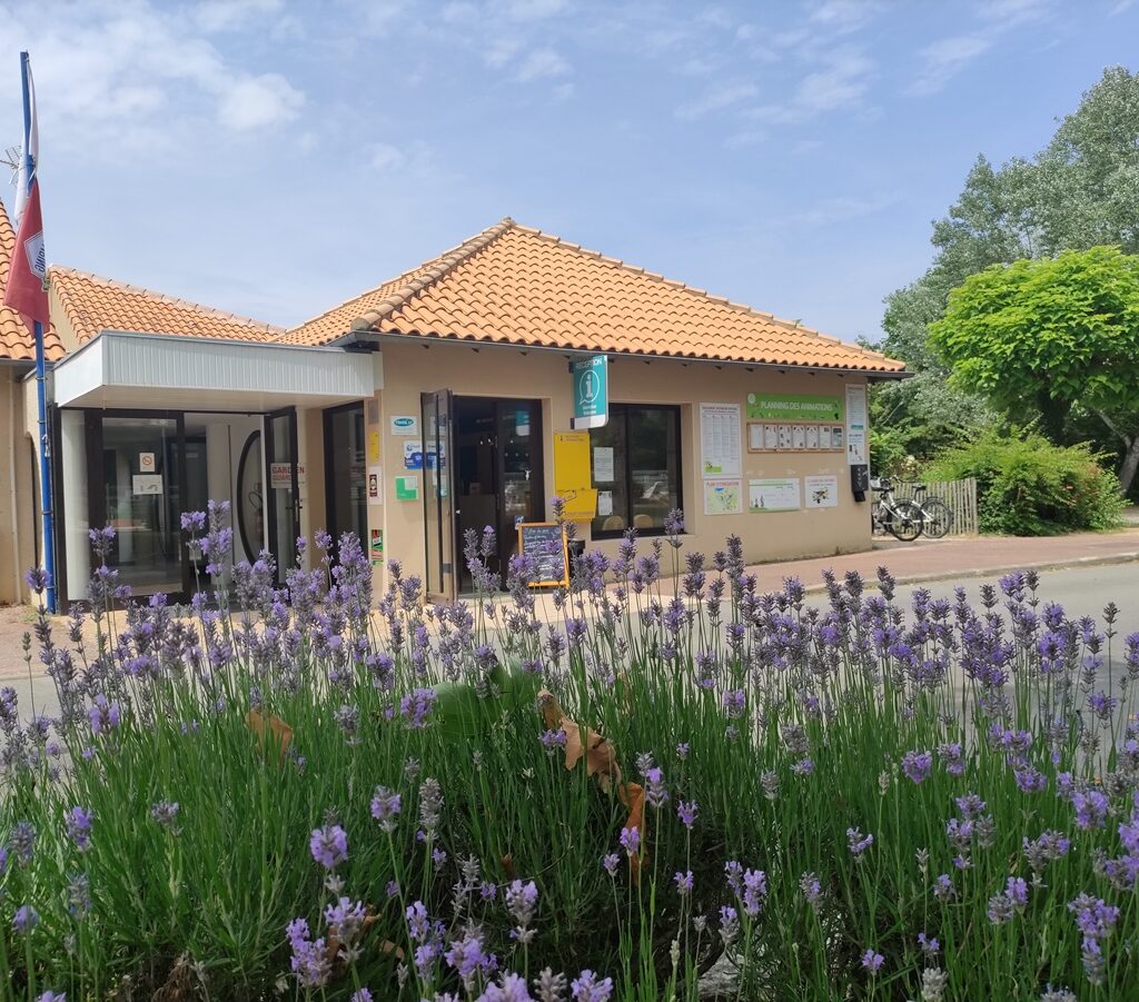Accueil Camping Lac de Saint-Cyr